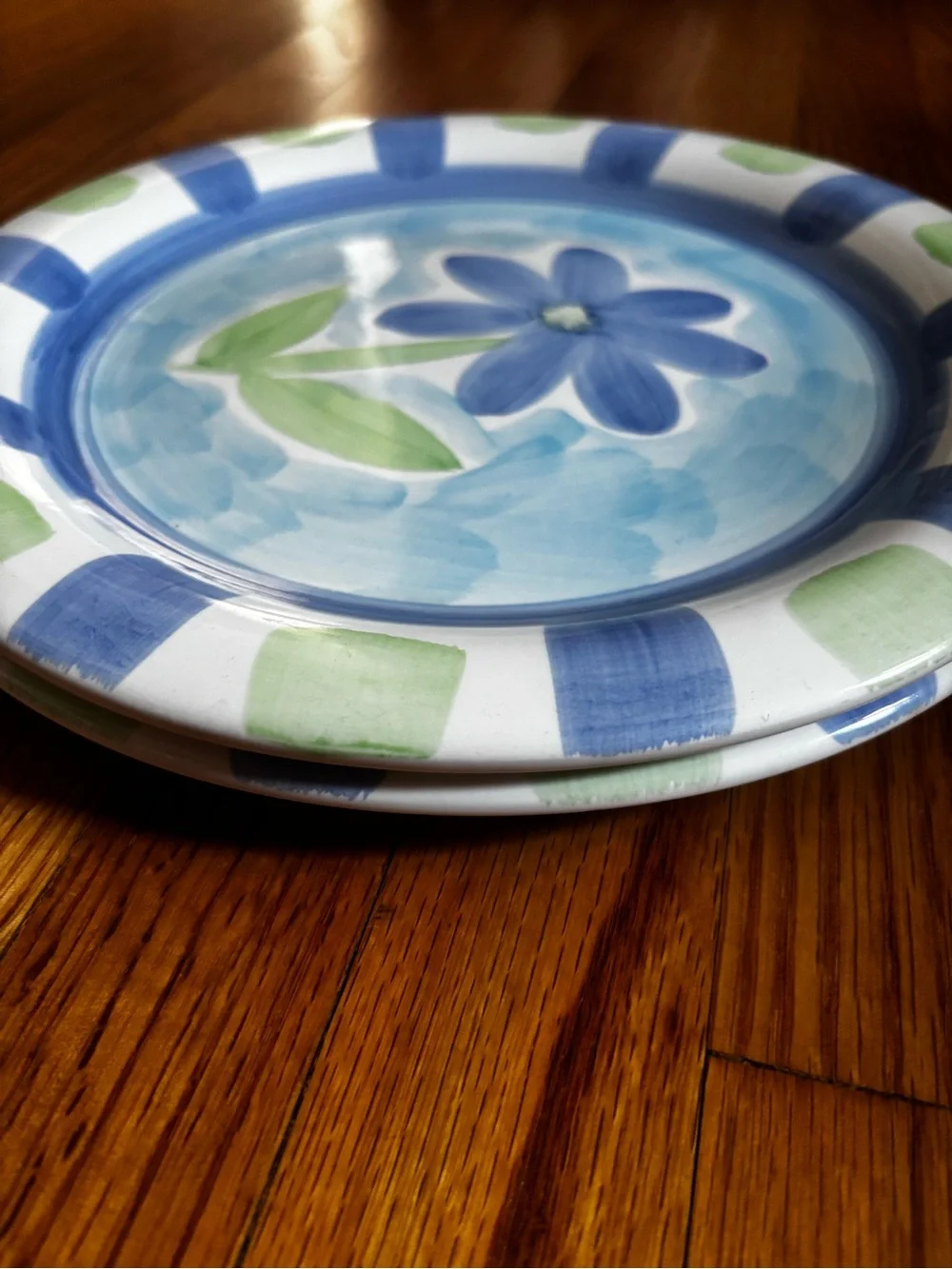Blue Floral Stoneware Dinner Plates - Set of 2